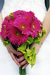 Pink gerber daisy bridal bouquet.