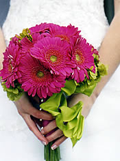 gerber daisy bouquet.
