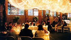Wedding with light canopy.