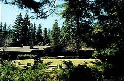 Wedding Vacation Package, Wedding Vacation Packages, Wedding Vacation, Wedding, Vacation, Package.